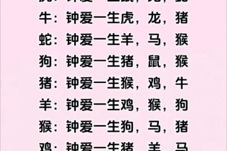 生肖属相配对表 十二生肖属相配对表