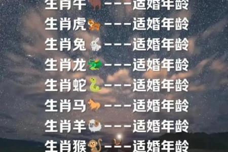 1996年属什么生肖配对