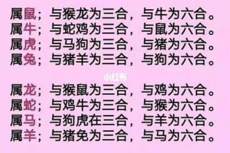 十二属相生肖配对姻缘查询