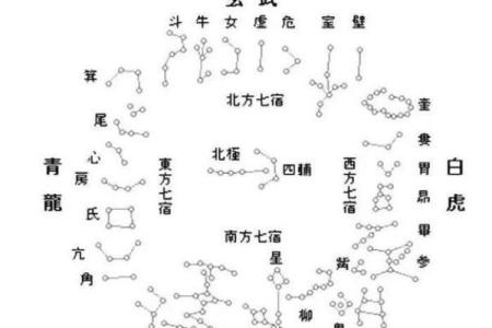 紫微斗数之父母宫与诸星，天相星在父母宫是什么意思？