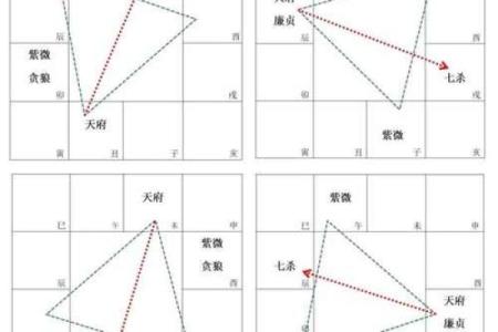 紫薇斗数空宫详解,父母空宫的人命好吗