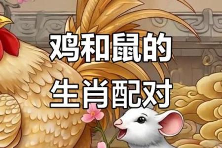 老鼠和什么属相最配对 老鼠和哪个属相最佳配对