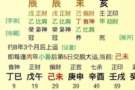 八字日柱壬子的命理详批
