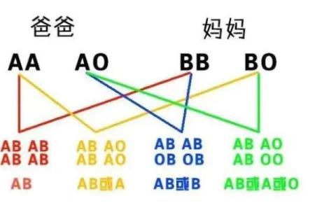 智商高的血型有哪些呢