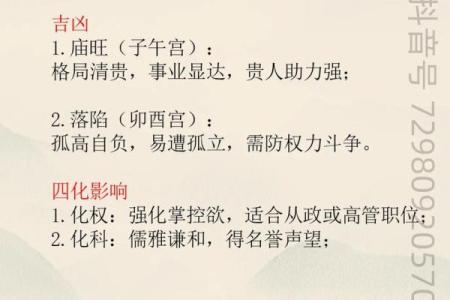 紫微斗数诸星落诸宫之：巨门星官禄宫详解