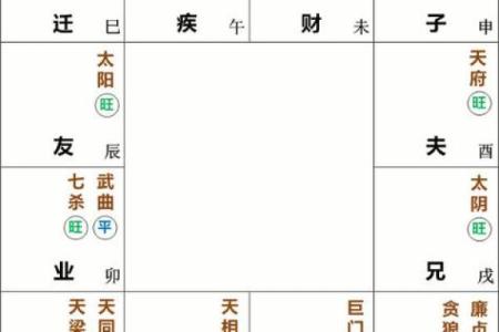 紫微斗数之子女宫与诸星，廉贞星在子女宫是什么意思？