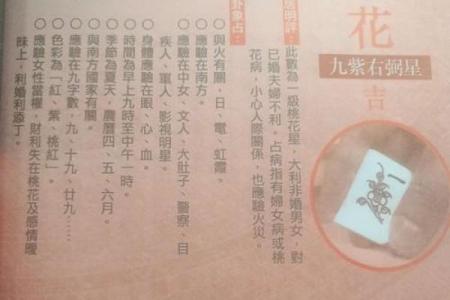 李居明算命视频