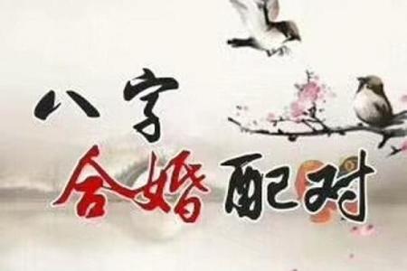 八字算命合婚