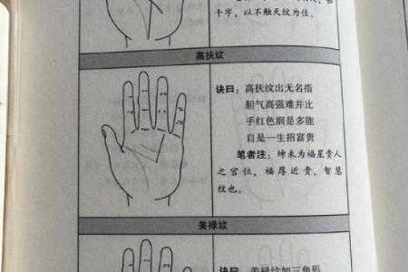 免费拍照看手相算命在线