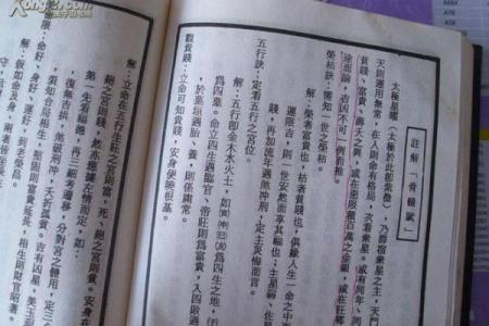老鼠紫微斗数全书共几卷 老鼠 紫菀？