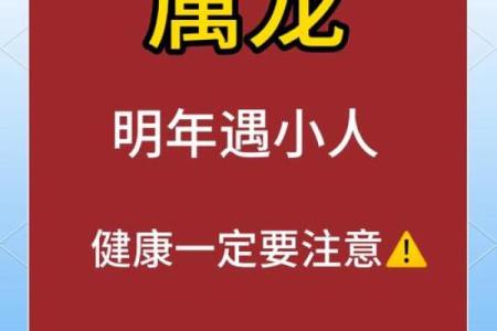 属龙的跟属龙的结婚属上等婚吗 配对要注意什么