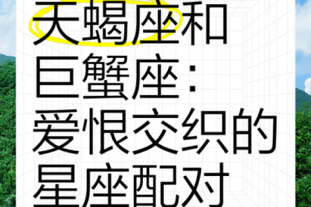 双子和巨蟹座配对合适吗女