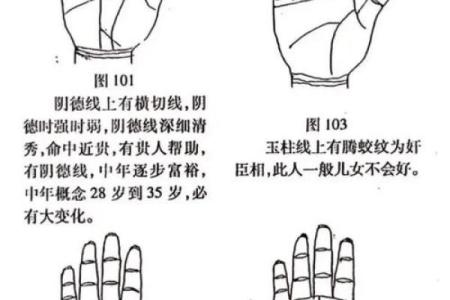 八字看婚姻线和命运线图解