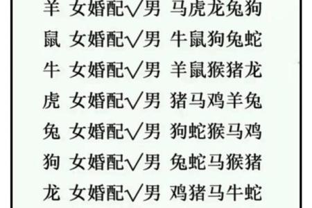 12生肖婚姻最佳配对 12生肖婚姻最佳配对表大全