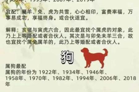 十二生肖配对表 属相配对