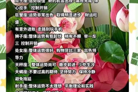 12星座的夏天运势