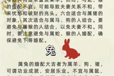 属鼠女金牛座配对合适吗