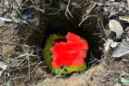 什么时候造生基好-造生基吉日介绍