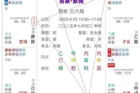 紫薇斗数命宫主星太阳