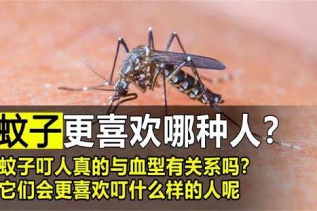 血型人创业要稳当谨慎