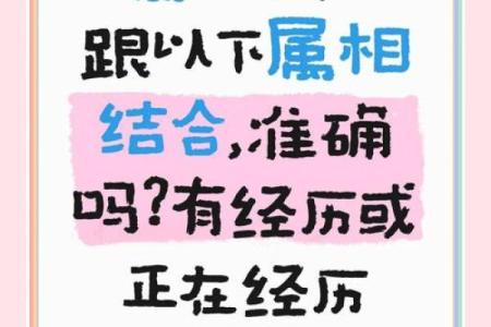 属猪正缘出现在哪年 属猪人婚姻配对表