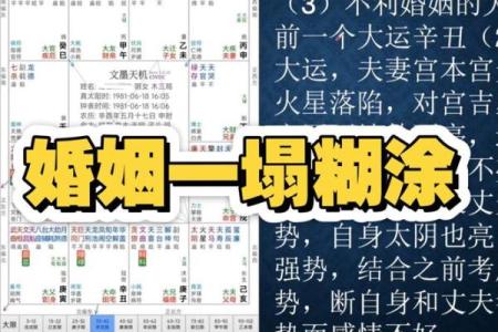 八字婚姻书籍
