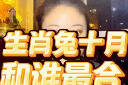 生肖兔和兔的配对是否适合