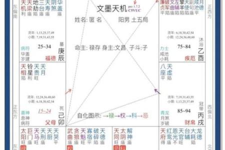 免费紫薇命运斗数