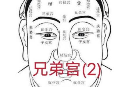 耳朵高于眉毛的人 面相算命