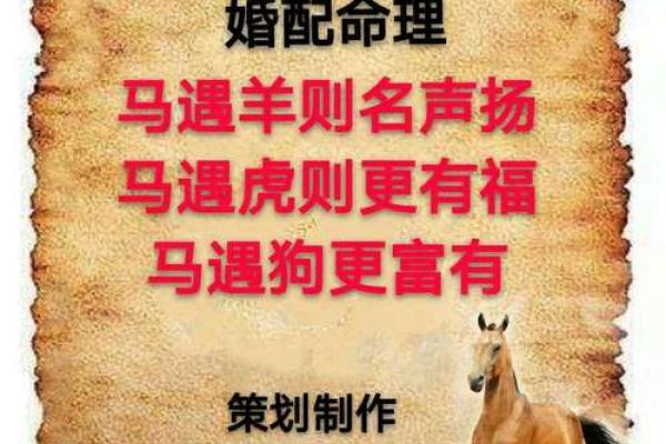 马跟什么生肖配对最好 生肖马最佳配对
