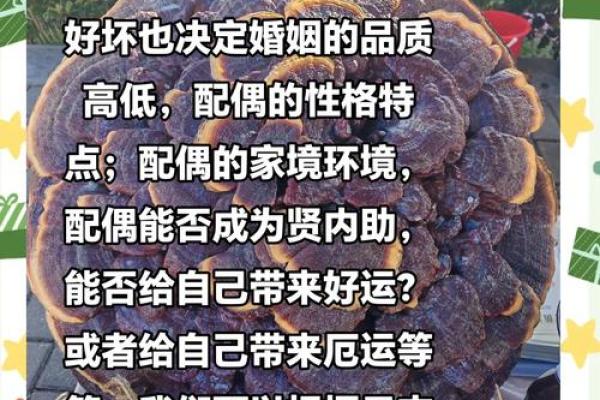 八字看配偶：日支十神看夫妻相处，什么样的人会有理想伴侣？