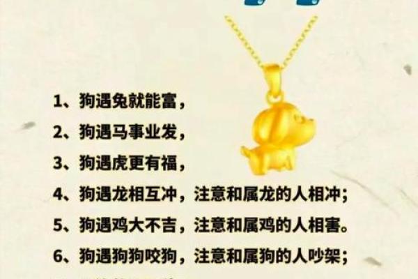 狗配对：十二生肖中，狗座最匹配与不相配的生肖