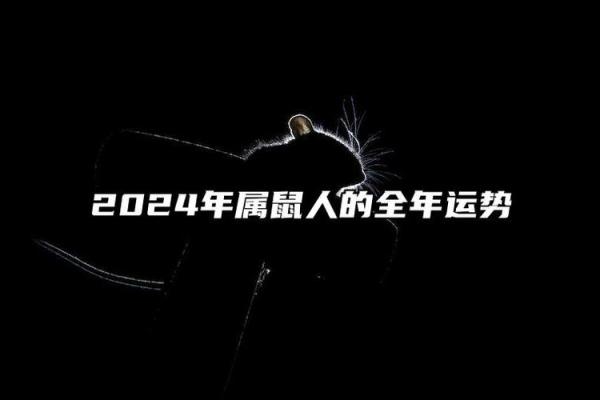 2024年对生肖鼠好不好，属鼠人在2024年的有利方位解析