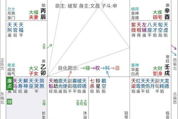 紫薇斗数可以看什么