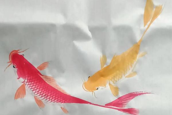 属鸡的家里养什么样子的风水鱼好？