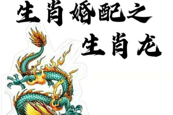 属龙的生肖配对