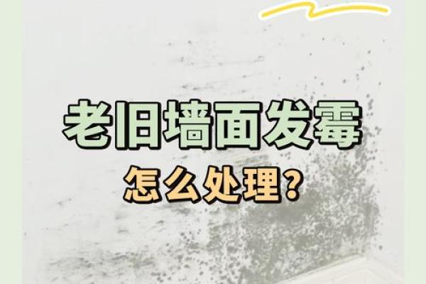 有这些房屋风水的房子建议不要住 不然一家子都倒大霉