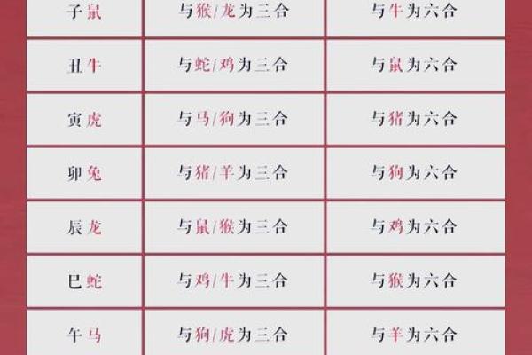 生肖配血型前途最远大TOP3
