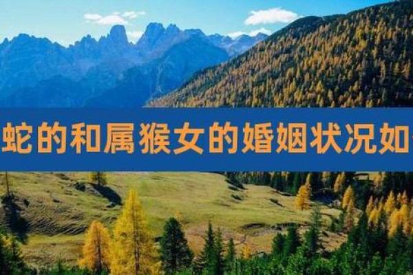 属猴的和属蛇的配对是否合适