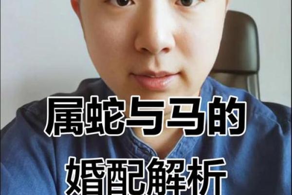 属马男和属蛇女的怎么样合吗 属马男和属蛇女配对是否适合