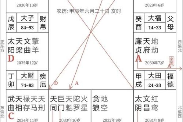 紫微斗数夫妻宫太阴星脸型