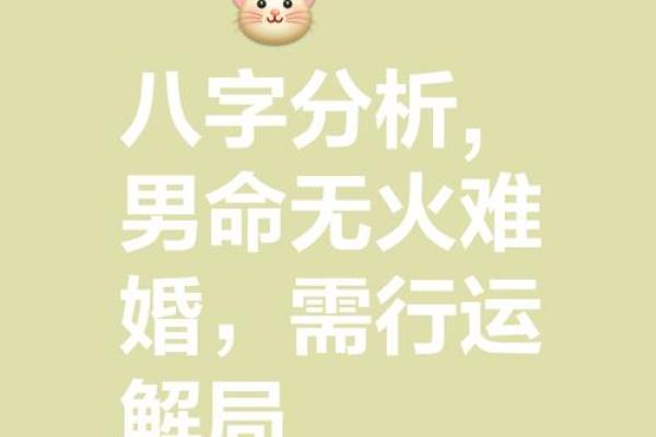 八字两个纯阳人在一起,纯阳八字百年难遇