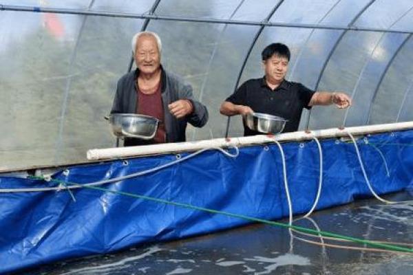 风水招财_养虾招财么