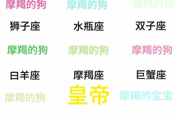 摩羯座女生和什么座最配对 摩羯座女生最吃哪一套