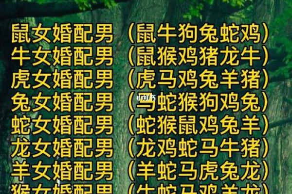 1988年属相是什么生肖配对