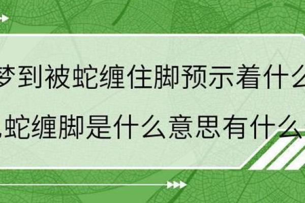 算卦蛇缠牛咬死不放  算命说蛇缠身
