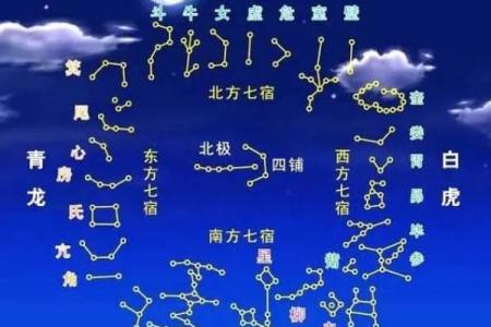 紫微斗数能量组合 紫薇斗数看你的潜能？