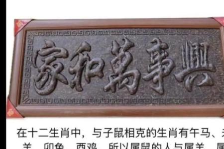 算命九个字算命