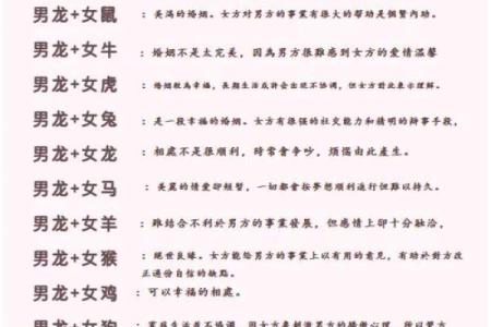 属鼠和属龙配对合适吗-