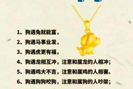 狗配对：十二生肖中，狗座最匹配与不相配的生肖